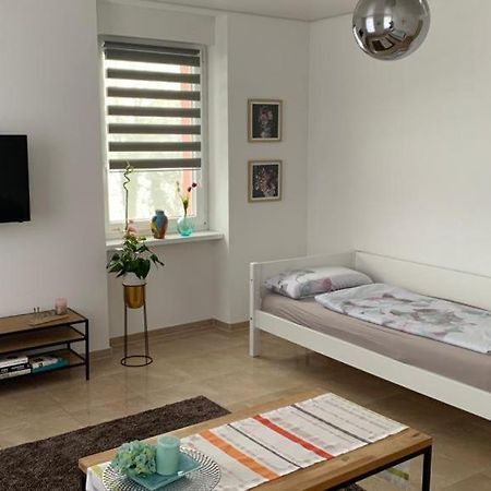 Grenznahe Ferienwohnung Mit 4 Schlafzimmern Grenzach-Wyhlen Esterno foto