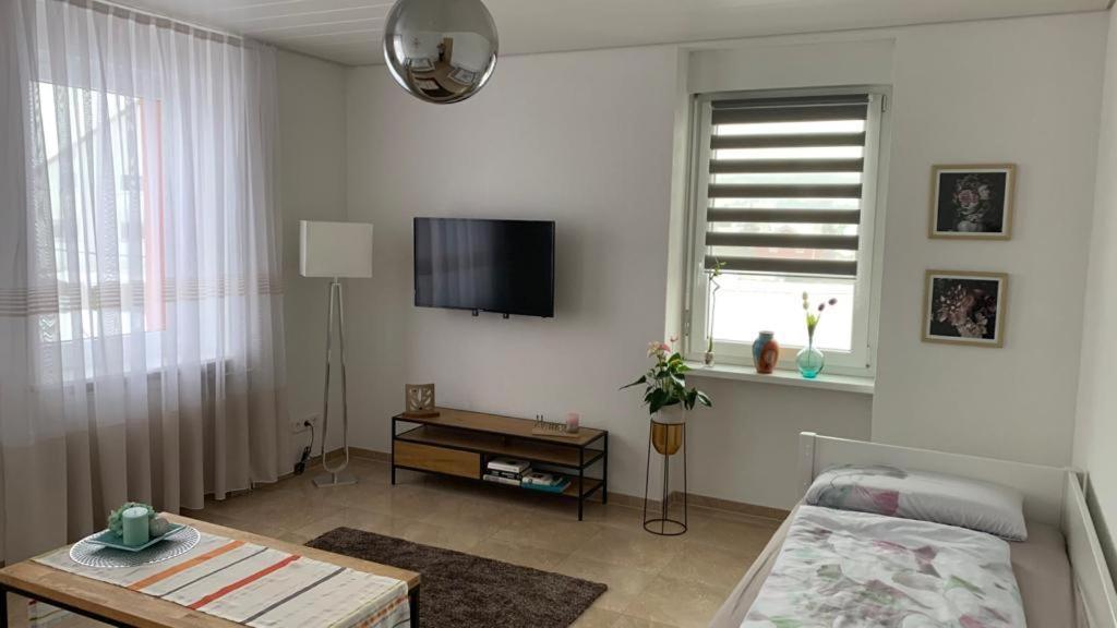 Grenznahe Ferienwohnung Mit 4 Schlafzimmern Grenzach-Wyhlen Esterno foto