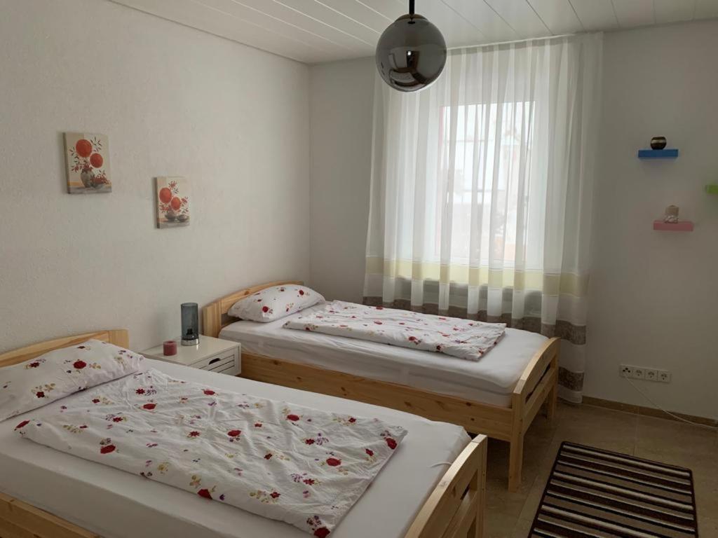 Grenznahe Ferienwohnung Mit 4 Schlafzimmern Grenzach-Wyhlen Esterno foto