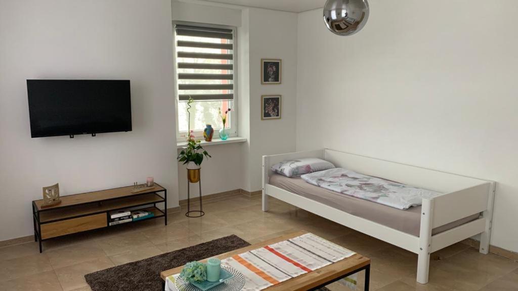 Grenznahe Ferienwohnung Mit 4 Schlafzimmern Grenzach-Wyhlen Esterno foto